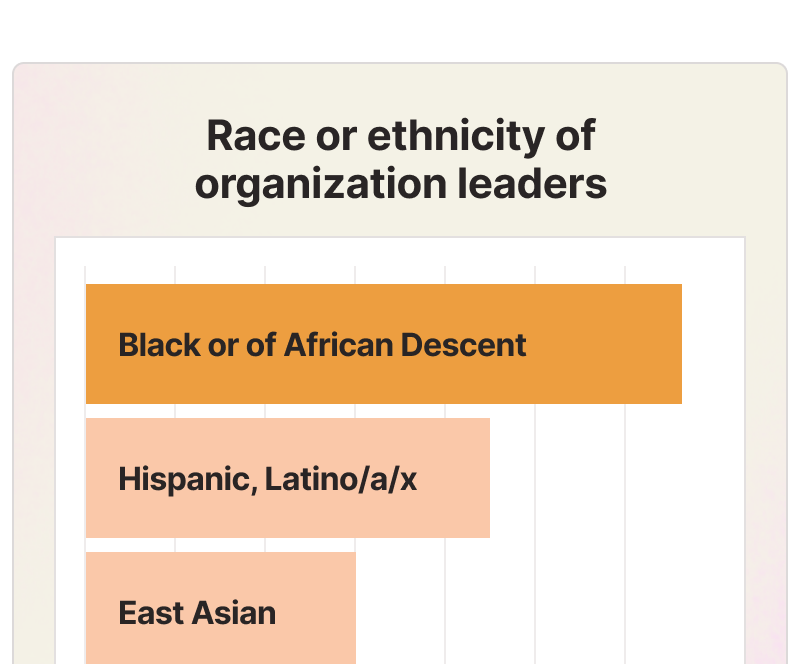 Product illustration of a bar graph depicting the race or ethnicity of organization leaders on Catchafire.