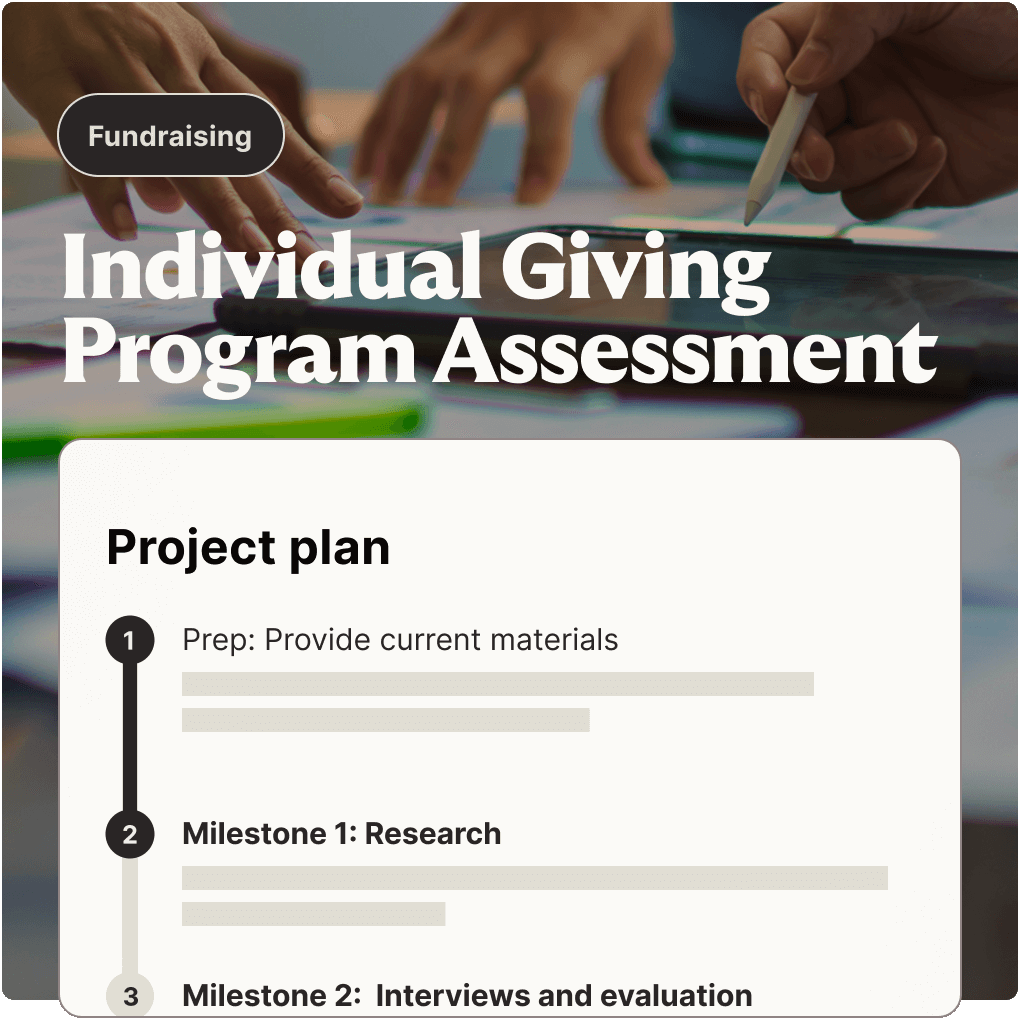 Individual Giving Program Assessment project plan